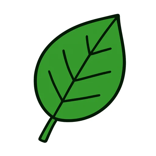 một chiếc lá xanh