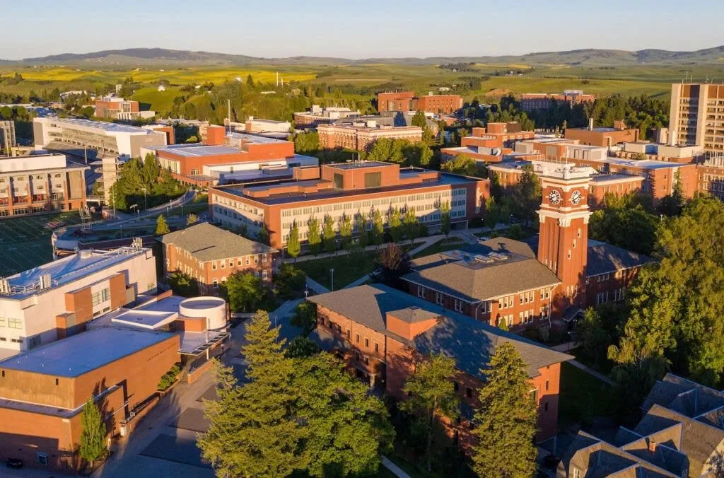 Washington State University: trải nghiệm “college town” chuẩn Mỹ