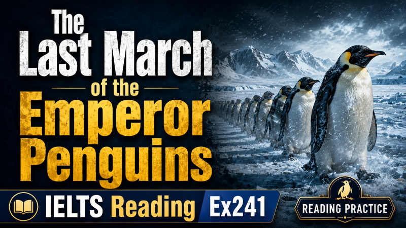 The Last March of the Emperor Penguins – IELTS Reading