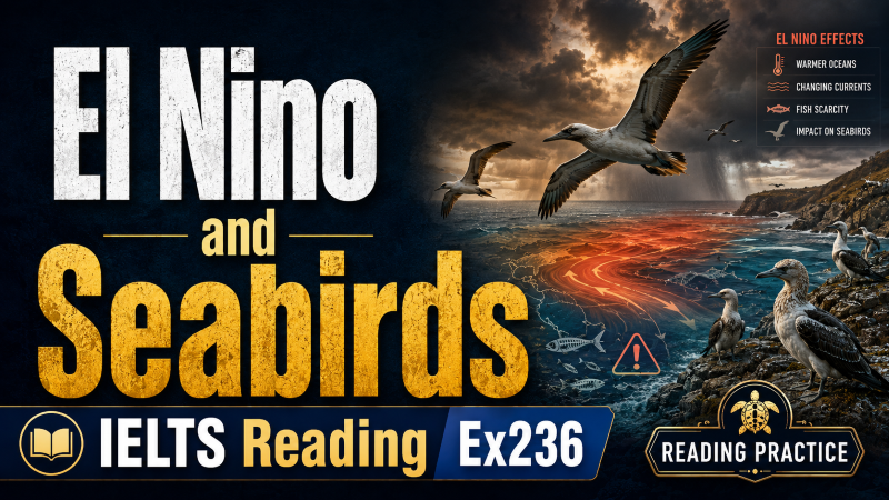 El Nino and Seabirds – IELTS Reading